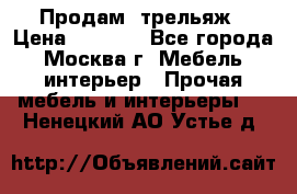 Продам  трельяж › Цена ­ 3 000 - Все города, Москва г. Мебель, интерьер » Прочая мебель и интерьеры   . Ненецкий АО,Устье д.